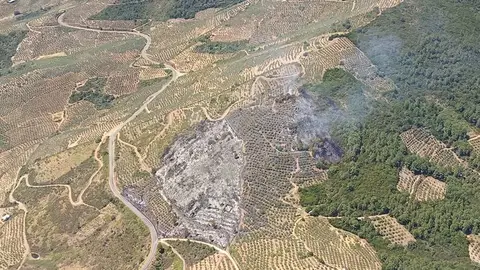 Estabilizado un incendio forestal en Mohedas de Granadilla Estabilizado un incendio forestal en Mohedas de Granadilla