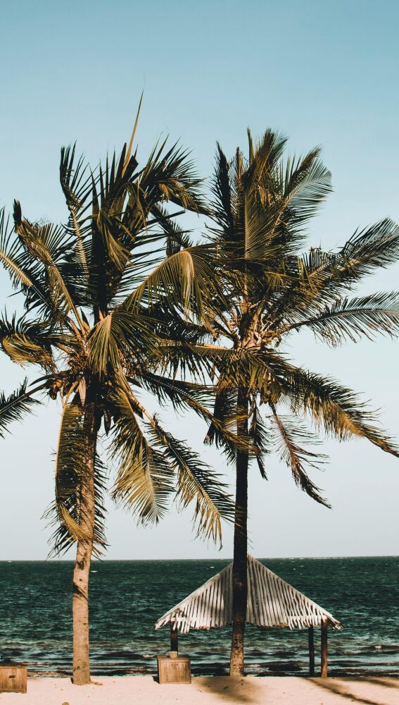 Playas de Kenia