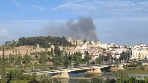 Estabilizado el nuevo incendio deTres Arroyos Estabilizado el nuevo incendio deTres Arroyos