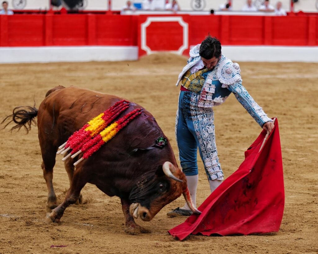 Los festejos taurinos de la Feria de San Juan de Badajoz contarán con un "palco infantil" para niños de 5 a 12 años Los festejos taurinos de la Feria de San Juan de Badajoz contarán con un "palco infantil" para niños de 5 a 12 años