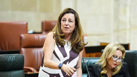 La consejera de Desarrollo Educativo y Formación Profesional, María del Carmen Castillo, en pleno parlamentario a feha de 24 de julio de 2025. - JOAQUÍN CORCHERO/PARLAMENTO DE ANDALUCÍA La consejera de Desarrollo Educativo y Formación Profesional, María del Carmen Castillo, en pleno parlamentario a feha de 24 de julio de 2025. - JOAQUÍN CORCHERO/PARLAMENTO DE ANDALUCÍA