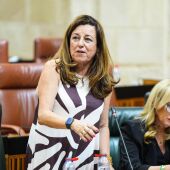 La consejera de Desarrollo Educativo y Formación Profesional, María del Carmen Castillo, en pleno parlamentario a feha de 24 de julio de 2025. - JOAQUÍN CORCHERO/PARLAMENTO DE ANDALUCÍA