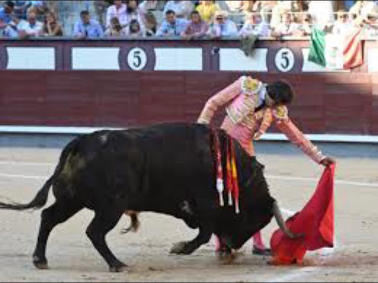 La Tauromaquia La Tauromaquia