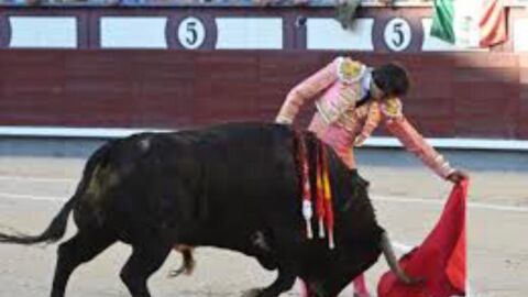 Curro D&iacute;az 