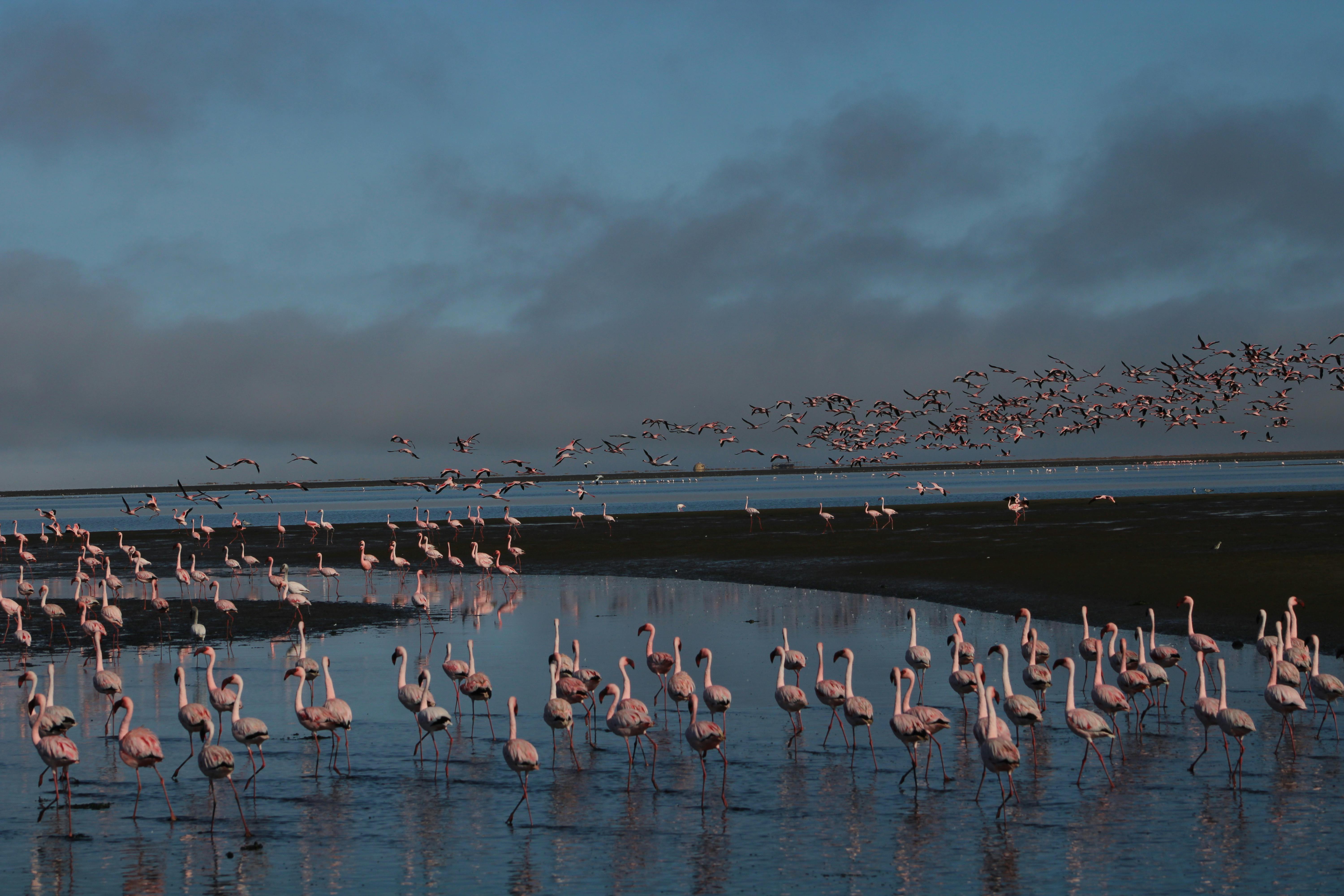 Viaje al corazón ecológico del sur de España Viaje al corazón ecológico del sur de España