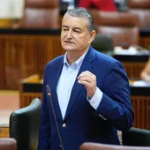 El consejero de la Presidencia, Interior, Diálogo Social y Simplificación Administrativa, Antonio Sanz, en el Pleno del Parlamento andaluz. - JOAQUÍN CORCHERO/PARLAMENTO DE ANDALUCÍA El consejero de la Presidencia, Interior, Diálogo Social y Simplificación Administrativa, Antonio Sanz, en el Pleno del Parlamento andaluz. - JOAQUÍN CORCHERO/PARLAMENTO DE ANDALUCÍA