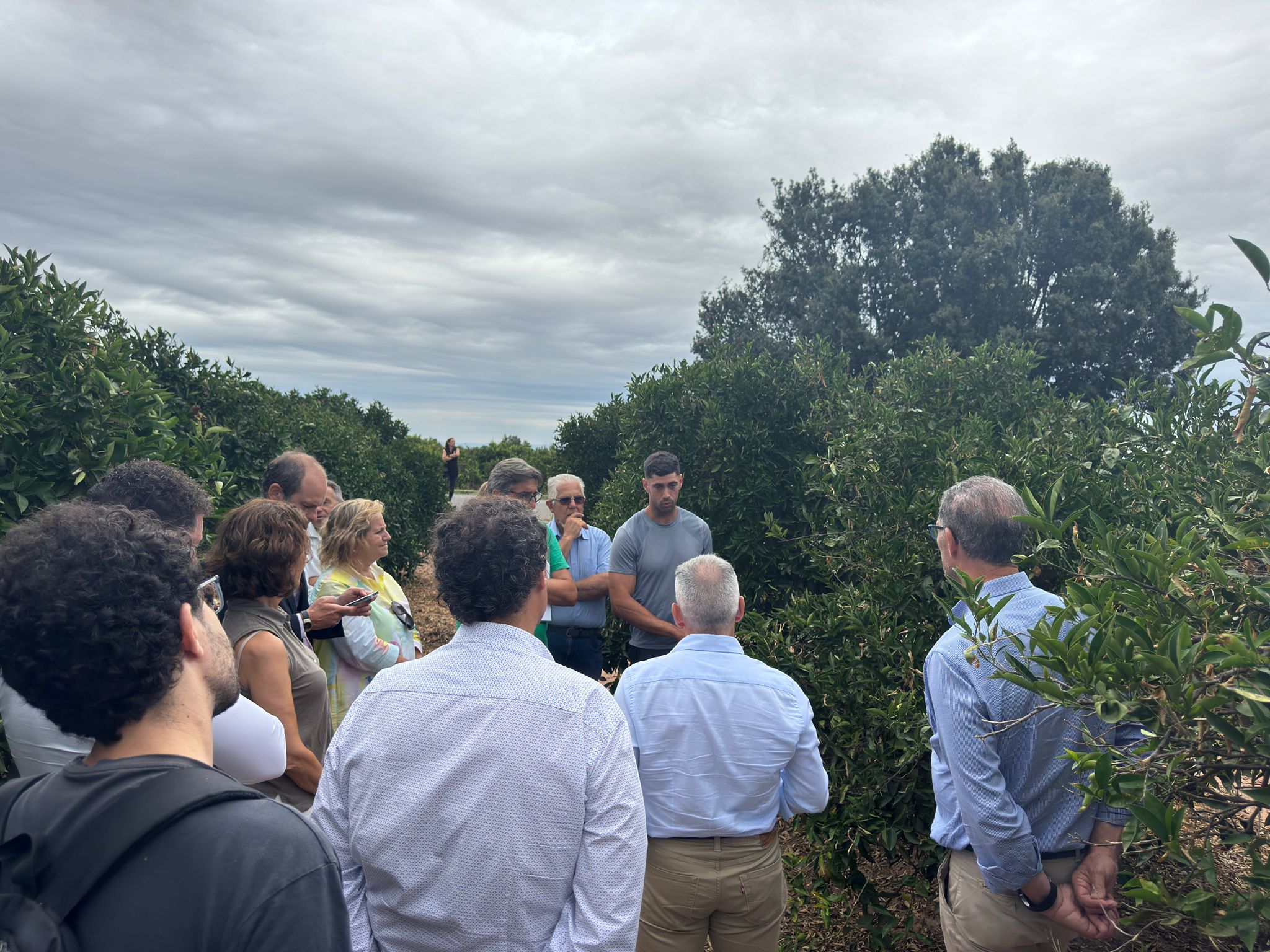 Los agricultores afectados por el pedrisco del 12 de julio recibirán 20 millones de euros del seguro agrario Los agricultores afectados por el pedrisco del 12 de julio recibirán 20 millones de euros del seguro agrario