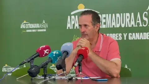 APAG alerta de que la campaña de cereal de invierno se ha cerrado con una pérdida de 63 millones de euros APAG alerta de que la campaña de cereal de invierno se ha cerrado con una pérdida de 63 millones de euros