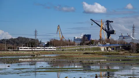 Marismas de Astillero Marismas de Astillero Astander