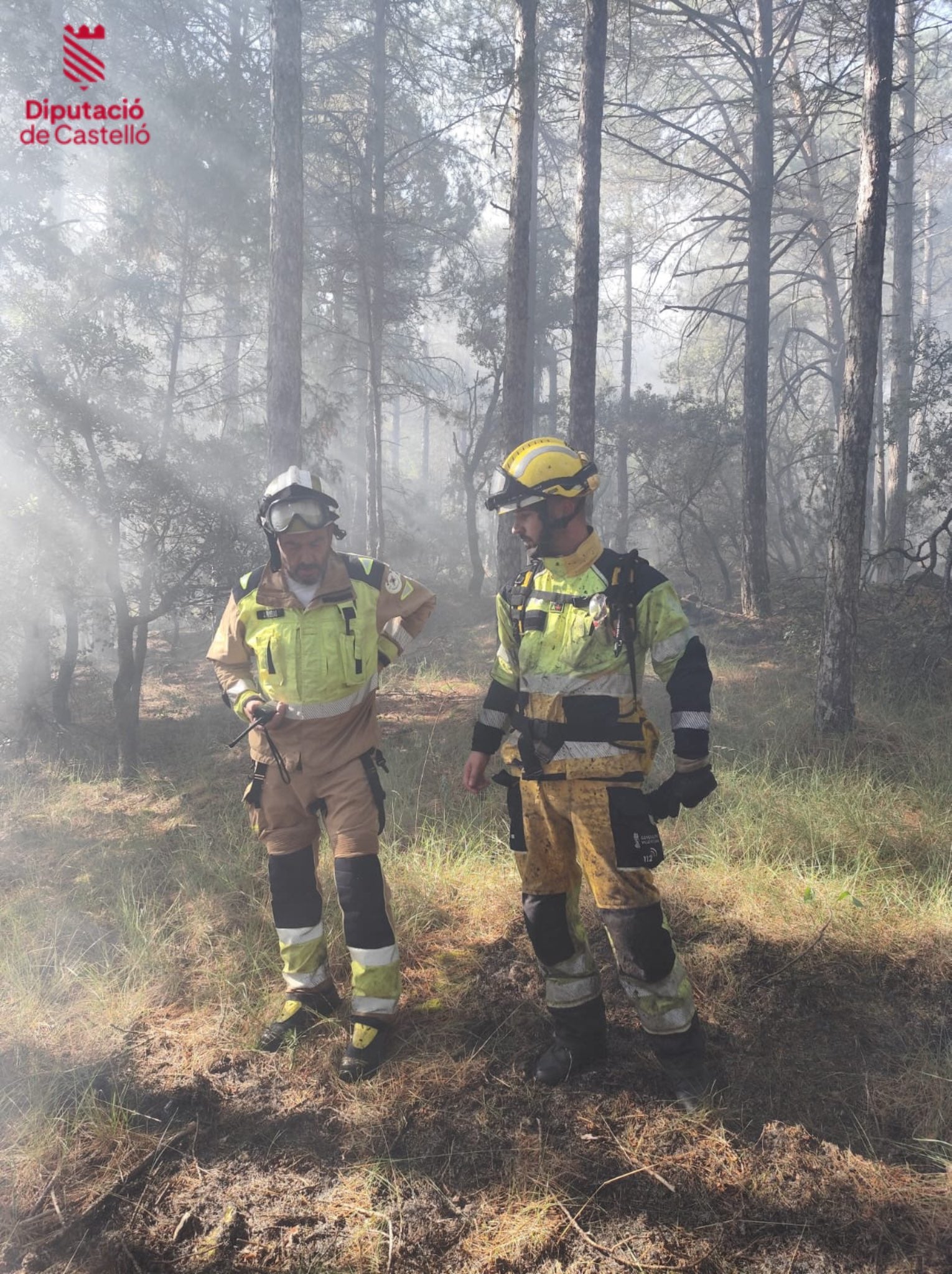 Controlado el incendio forestal en Castellfort, en la zona del parque eólico Controlado el incendio forestal en Castellfort, en la zona del parque eólico
