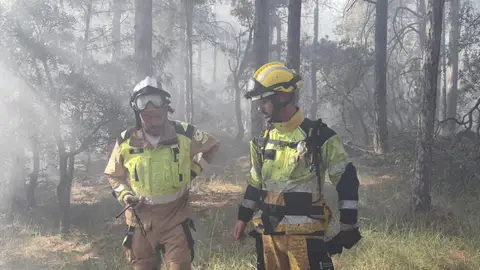 Evoluciona favorablemente el incendio forestal en Castellfort, en la zona del parque eólico Evoluciona favorablemente el incendio forestal en Castellfort, en la zona del parque eólico
