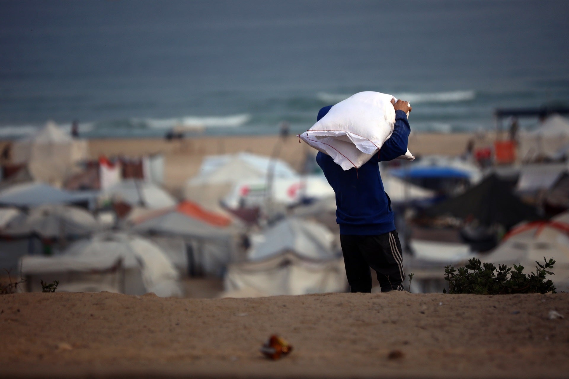 La ayuda humanitaria penetra en Gaza en medio de la hambruna, bombardeos y detenciones de activistas La ayuda humanitaria penetra en Gaza en medio de la hambruna, bombardeos y detenciones de activistas