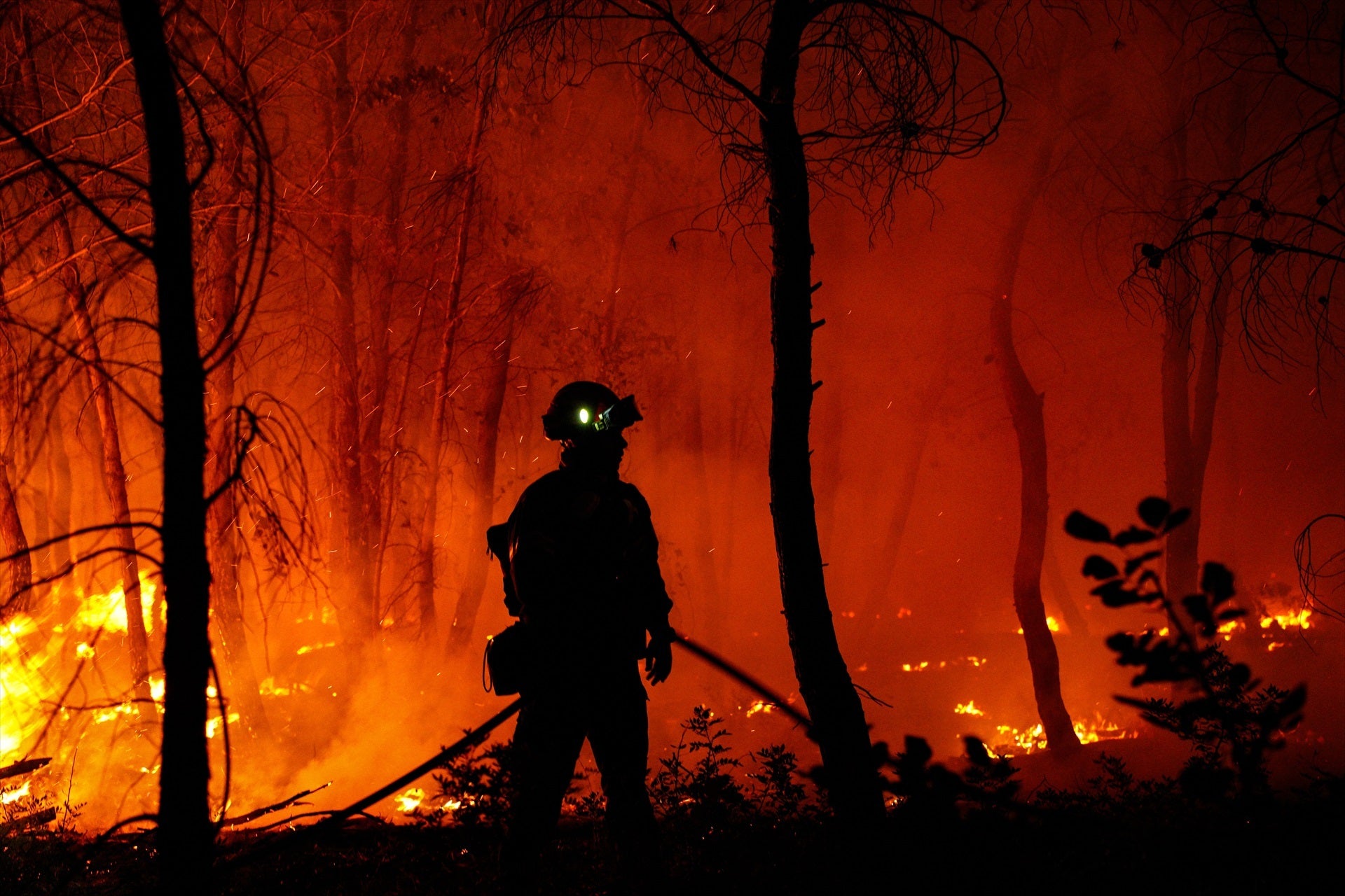Prosiguen las tareas de extinción contra los incendios que han obligado a evacuar a 7.000 personas en Grecia Prosiguen las tareas de extinción contra los incendios que han obligado a evacuar a 7.000 personas en Grecia