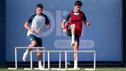 Segunda prueba de pretemporada para el M&aacute;laga CF con victoria por 1-2 frente a la UD Almer&iacute;a
