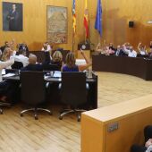Benidorm aprueba por unanimidad el nuevo contrato de mantenimiento de parques y jardines