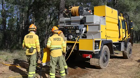 El Infoex intervenía en 26 incendios forestales durante la última semana, afectando a unas 1.300 hectáreas El Infoex intervenía en 26 incendios forestales durante la última semana, afectando a unas 1.300 hectáreas