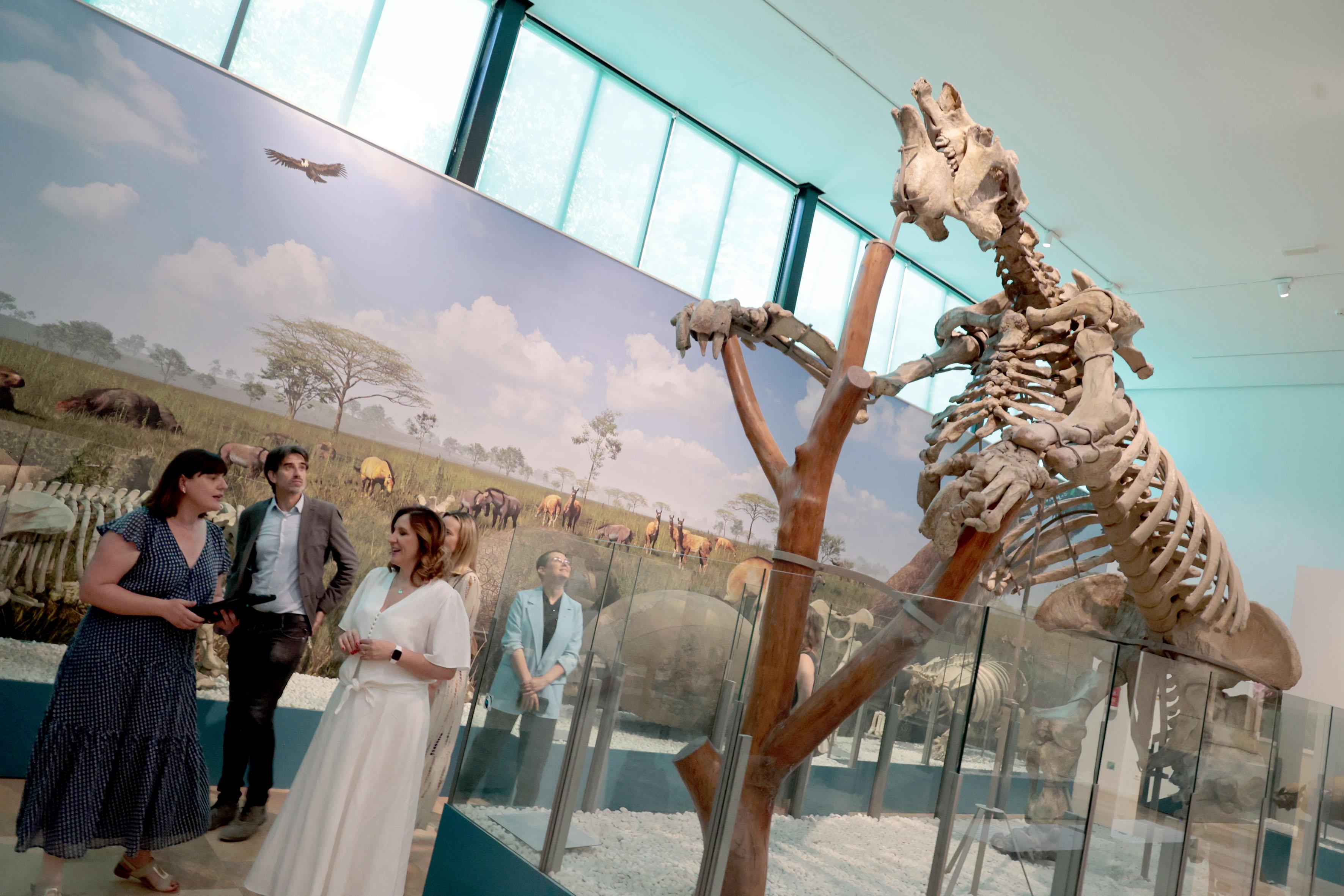 El Paleontològic-Museu de Col·leccions Naturals de València reabre con una apuesta interactiva El Paleontològic-Museu de Col·leccions Naturals de València reabre con una apuesta interactiva