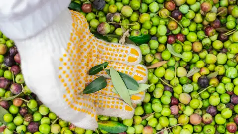 Así afecta a España el nuevo pacto comercial entre EEUU y la UE Así afecta a España el nuevo pacto comercial entre EEUU y la UE