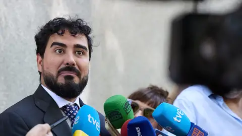 El eurodiputado y líder de SALF, Alvise Pérez El eurodiputado y líder de SALF, Alvise Pérez