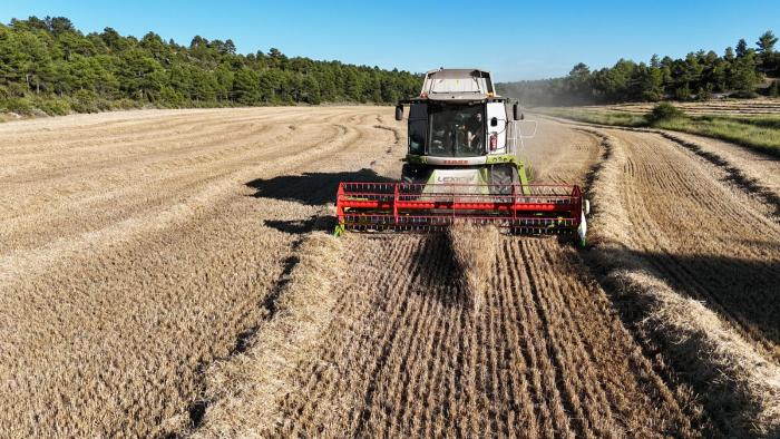 El Gobierno de CLM flexibiliza las limitaciones para cosechar con IPP rojo de incendio El Gobierno de CLM flexibiliza las limitaciones para cosechar con IPP rojo de incendio