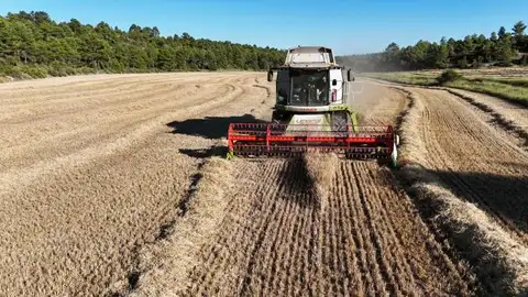El Gobierno de CLM flexibiliza las limitaciones para cosechar con IPP rojo de incendio El Gobierno de CLM flexibiliza las limitaciones para cosechar con IPP rojo de incendio