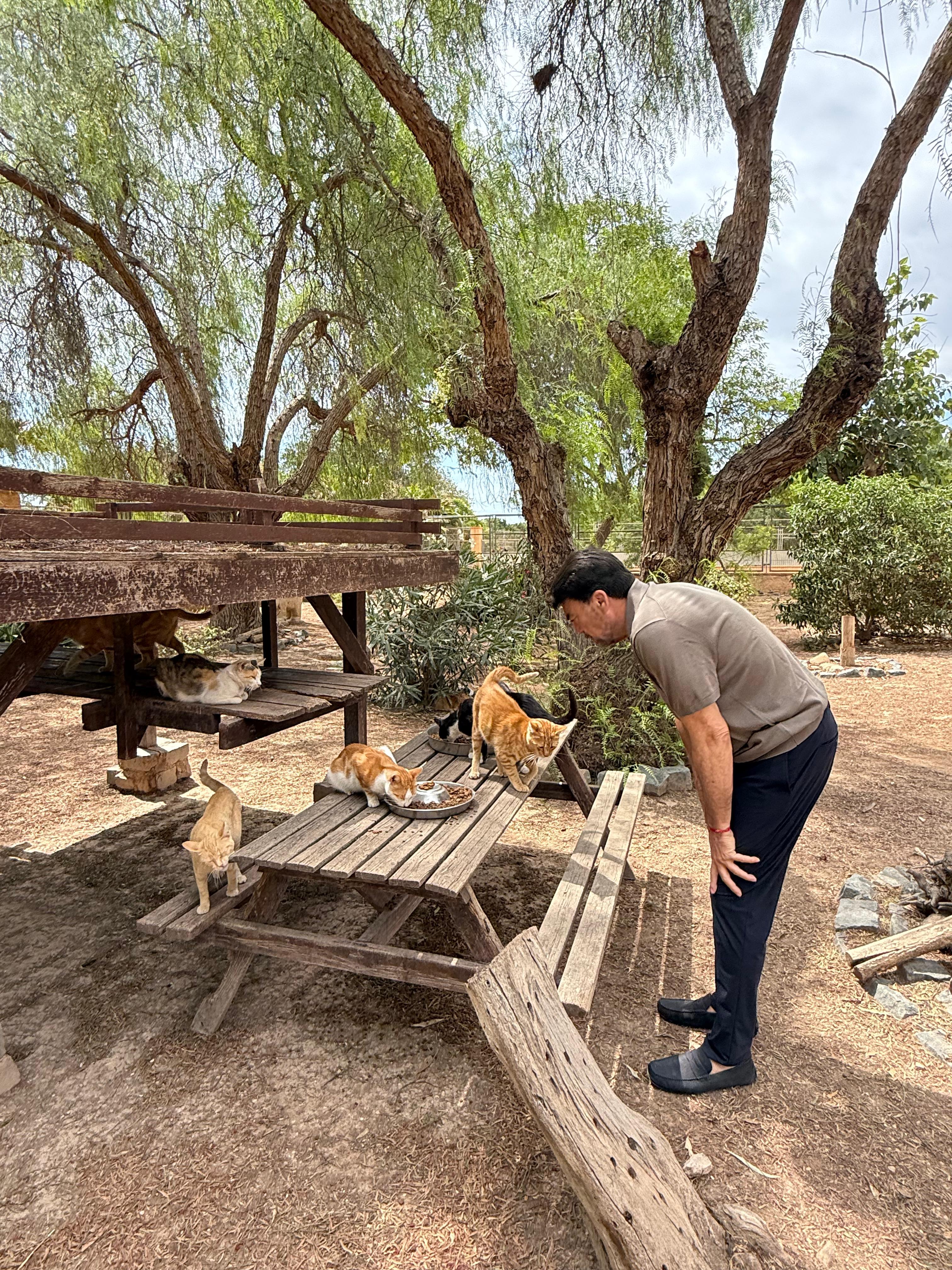 La protectora municipal acoge desde 2024 a más de un millar de animales La protectora municipal acoge desde 2024 a más de un millar de animales