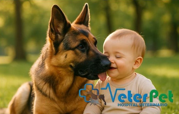 Perros y bebés: todo lo que tienes que saber para no cometer un grave error, con Ángel Osuna Perros y bebés: todo lo que tienes que saber para no cometer un grave error, con Ángel Osuna