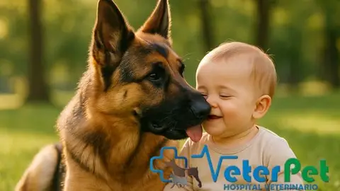 Perros y niños: el principio de una bella amistad Perros y niños: el principio de una bella amistad