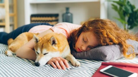 Una veterinaria desvela la verdad sobre dormir con tu perro