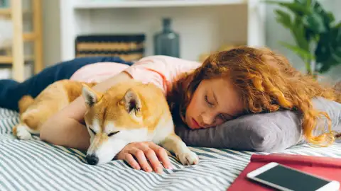 Una veterinaria desvela la verdad sobre dormir con tu perro Una veterinaria desvela la verdad sobre dormir con tu perro