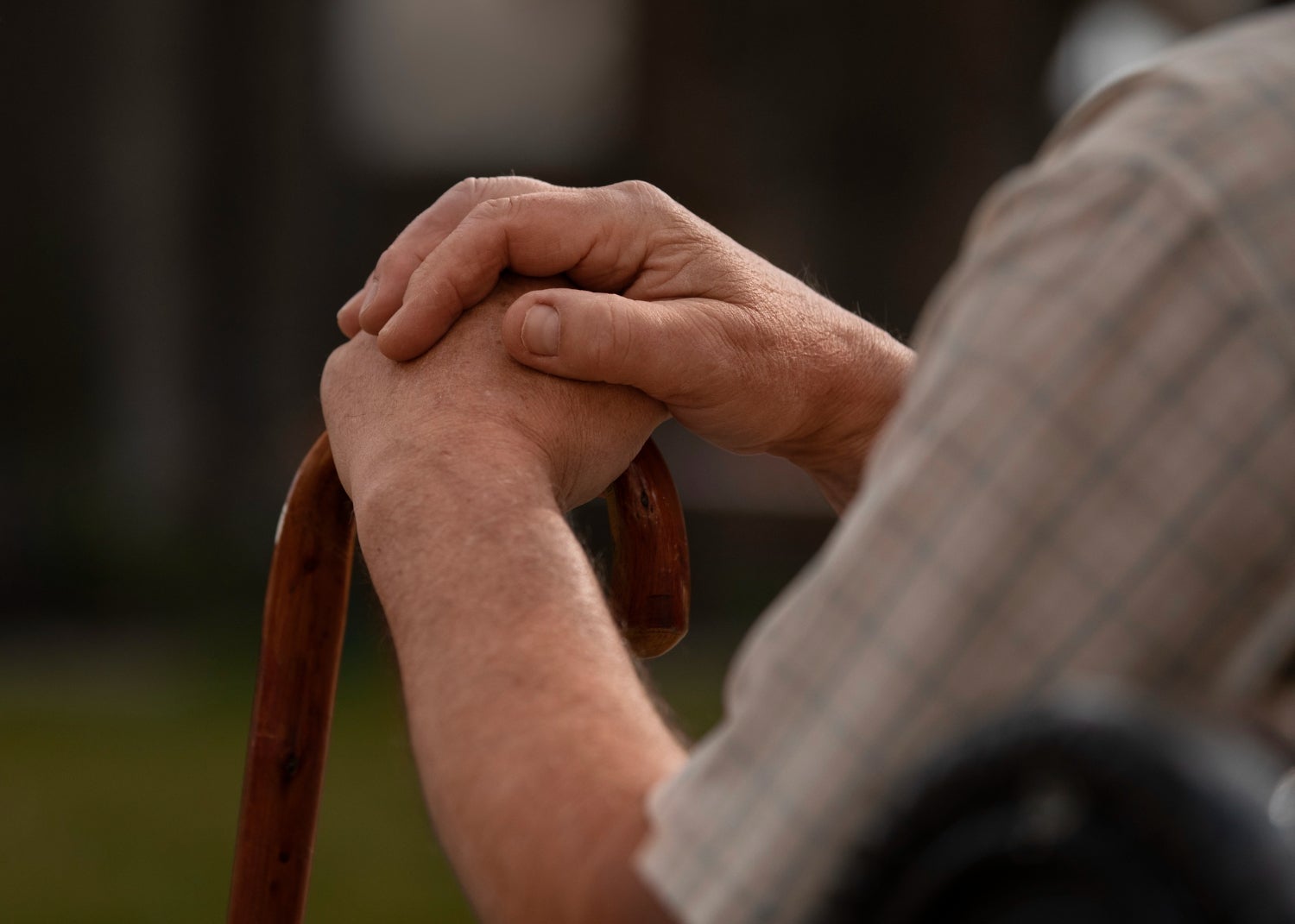 El gasto en pensiones alcanza cifras récord en el mes de julio hasta los 13.588 millones de euros El gasto en pensiones alcanza cifras récord en el mes de julio hasta los 13.588 millones de euros