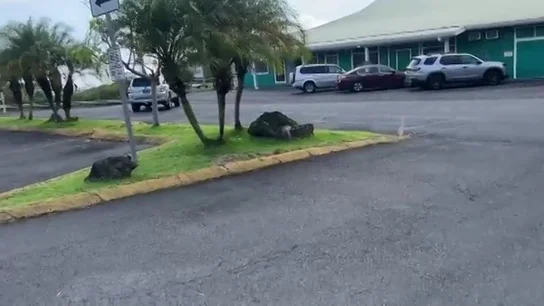Hawaii emite una alerta en todo el archipiélago con la hora que se espera que ocurra el tsunami Hawaii emite una alerta en todo el archipiélago con la hora que se espera que ocurra el tsunami