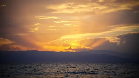 Atardecer. Foto de archivo Atardecer. Foto de archivo