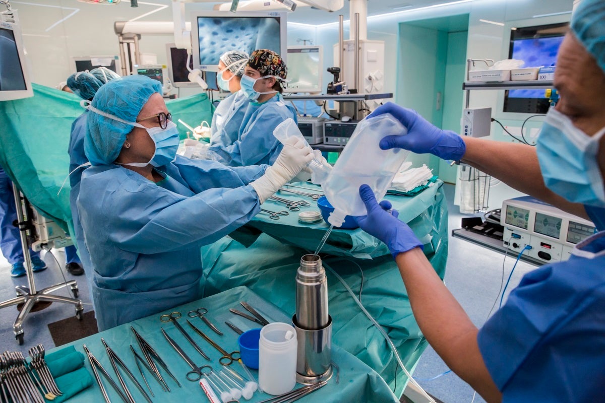 Mujer, médica y en atención primaria: así es el perfil que más agresiones recibió en 2024, según Sanidad Mujer, médica y en atención primaria: así es el perfil que más agresiones recibió en 2024, según Sanidad