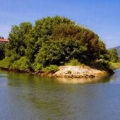 Isla de los Faisanes