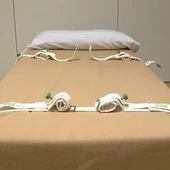 Llit amb corretges en una presó Llit amb corretges en una presó