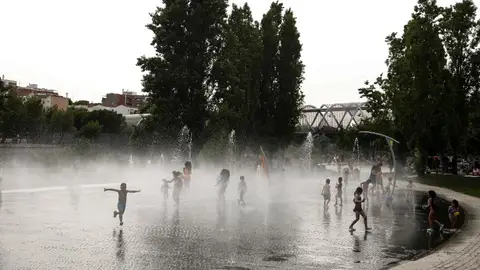 Greenpeace denuncia que más del 70% de las capitales de provincia españolas no tienen refugios climáticos. Greenpeace denuncia que más del 70% de las capitales de provincia españolas no tienen refugios climáticos.