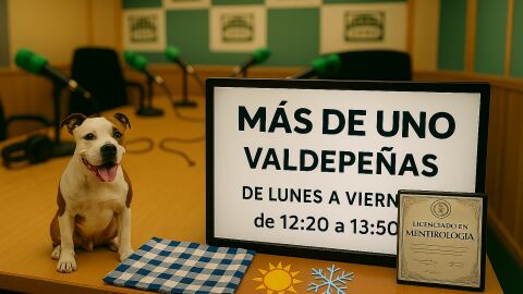 M&aacute;s de Uno Valdepe&ntilde;as - Hermanamiento, Titulos, perro, fr&iacute;o y calor
