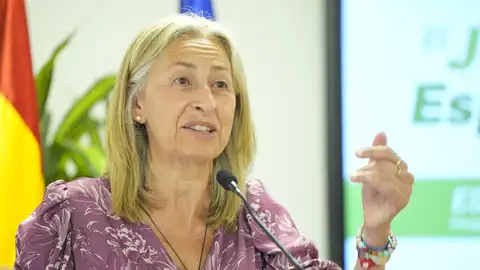 La consejera de Salud y Consumo, Rocío Hernández, en la presentación del proyecto 'Jardín de la Esperanza', en el Hospital Virgen Macarena. - JOAQUIN CORCHERO / EUROPA PRESS La consejera de Salud y Consumo, Rocío Hernández, en la presentación del proyecto 'Jardín de la Esperanza', en el Hospital Virgen Macarena. - JOAQUIN CORCHERO / EUROPA PRESS