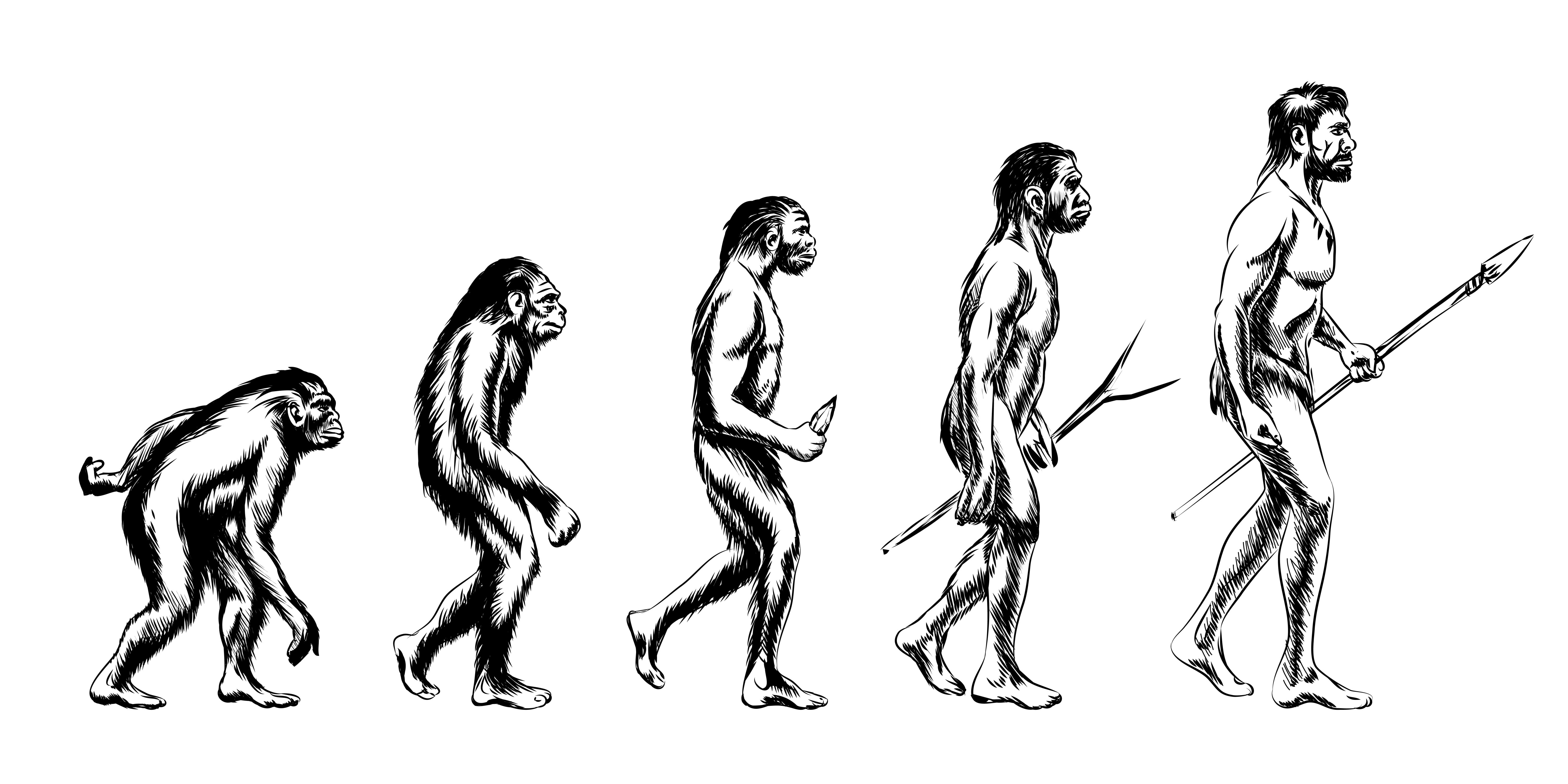 La maldición 'mental' del hombre mono La maldición 'mental' del hombre mono