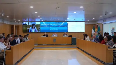 Archivo - Pleno ordinario en la Diputación de Sevilla - DIPUTACIÓN DE SEVILLA - Archivo Archivo - Pleno ordinario en la Diputación de Sevilla - DIPUTACIÓN DE SEVILLA - Archivo