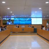 Archivo - Pleno ordinario en la Diputación de Sevilla - DIPUTACIÓN DE SEVILLA - Archivo