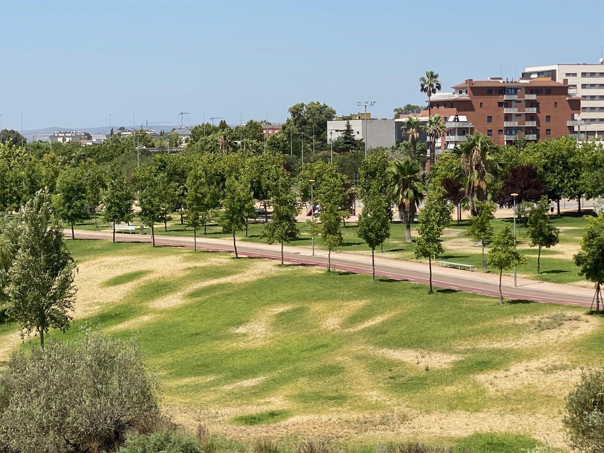 El PSOE de Badajoz ofrece su colaboración al ayuntamiento de cara al riego del parque del Guadiana El PSOE de Badajoz ofrece su colaboración al ayuntamiento de cara al riego del parque del Guadiana