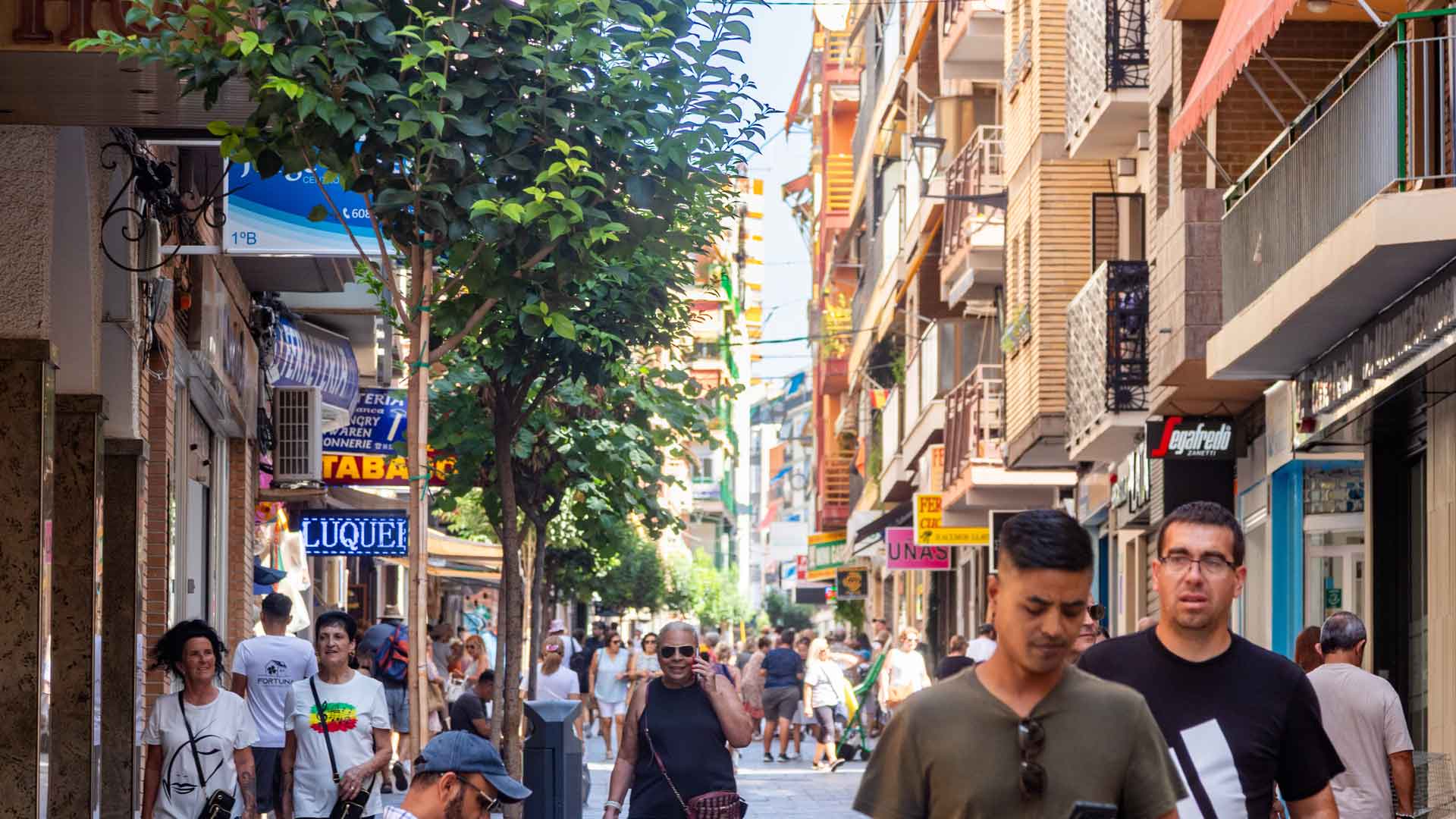 Benidorm invertirá casi 2 millones de euros en 13 actuaciones subvencionadas por la Fundación Biodiversidad Benidorm invertirá casi 2 millones de euros en 13 actuaciones subvencionadas por la Fundación Biodiversidad