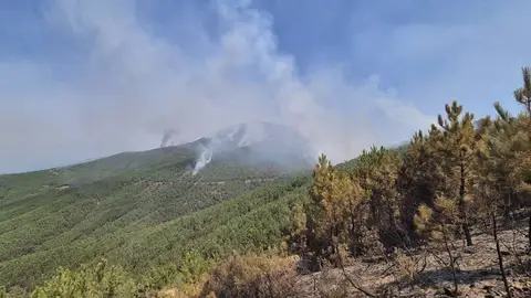 Los efectivos trabajan en controlar varios flancos del incendio en Las Hurdes aunque preocupa la zona de Avellanar Los efectivos trabajan en controlar varios flancos del incendio en Las Hurdes aunque preocupa la zona de Avellanar