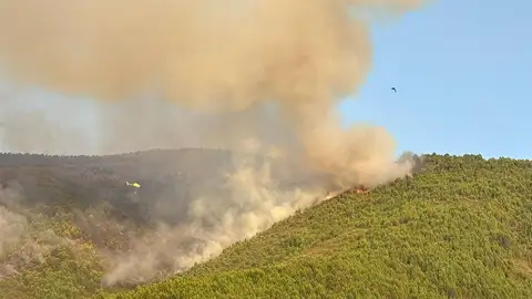 Los efectivos del incendio en Las Hurdes se centran la zona de Avellanar, tras consolidar el 70% del perímetro Los efectivos del incendio en Las Hurdes se centran la zona de Avellanar, tras consolidar el 70% del perímetro