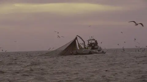Archivo - UE.- La Junta reprocha al PSOE que "anteponga intereses políticos" a la defensa de la pesca del Golfo de Cádiz - JUNTA DE ANDALUCÍA - Archivo Archivo - UE.- La Junta reprocha al PSOE que "anteponga intereses políticos" a la defensa de la pesca del Golfo de Cádiz - JUNTA DE ANDALUCÍA - Archivo