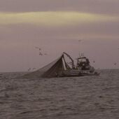 Archivo - UE.- La Junta reprocha al PSOE que "anteponga intereses políticos" a la defensa de la pesca del Golfo de Cádiz - JUNTA DE ANDALUCÍA - Archivo