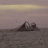 Archivo - UE.- La Junta reprocha al PSOE que "anteponga intereses políticos" a la defensa de la pesca del Golfo de Cádiz - JUNTA DE ANDALUCÍA - Archivo Archivo - UE.- La Junta reprocha al PSOE que "anteponga intereses políticos" a la defensa de la pesca del Golfo de Cádiz - JUNTA DE ANDALUCÍA - Archivo
