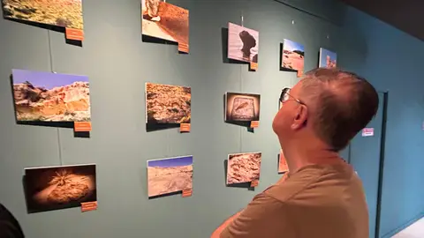 Museo Paleontológico de Elche Museo Paleontológico de Elche